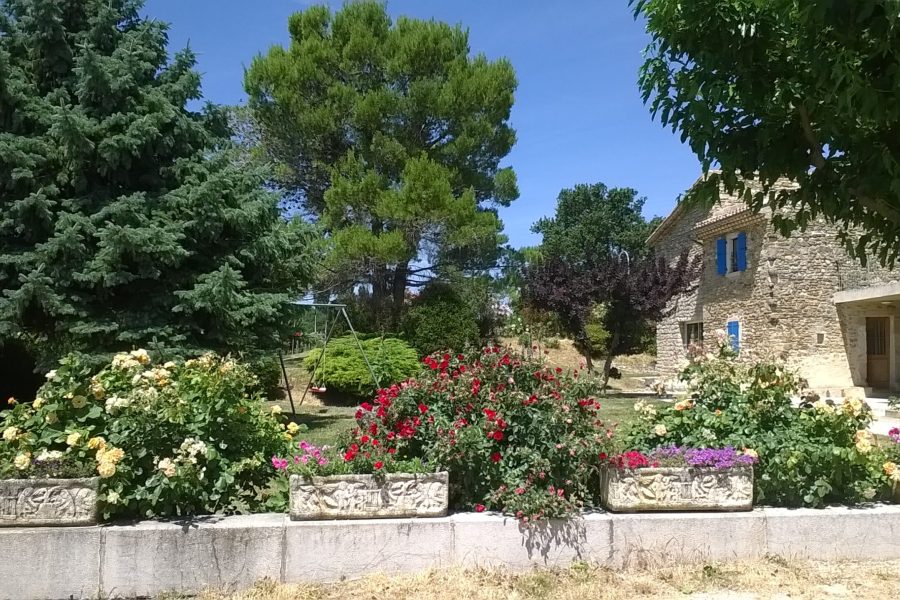 20170616_12_20_34_Pro
